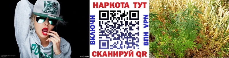 Купить Шахунья КОКАИН Канабис А ПВП Галлюциногенные грибы Мефедрон ГАШ