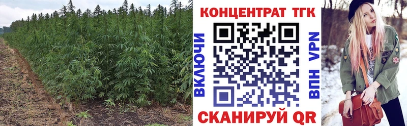 закладки  Шахунья  Дистиллят ТГК вейп с тгк 